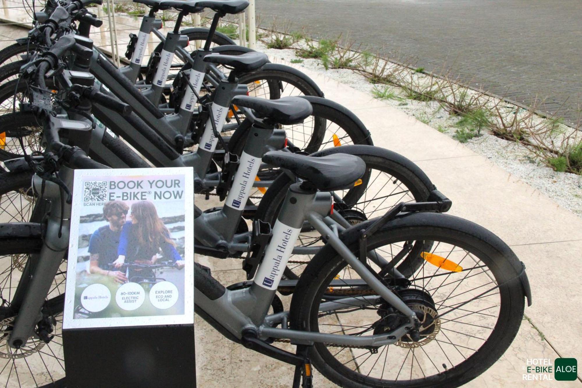 Pisa Tower Plaza Hotel ภายนอก รูปภาพ Free bikes for students